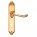 Ручка дверная на длинной планке ARCHIE GENESIS ACANTO S. GOLD CL, под евроцилиндр, матовое золото