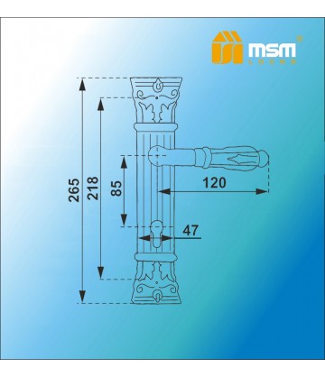 Ручка на планке MSM 790 L Полированная латунь / Матовая латунь (PB/SB)