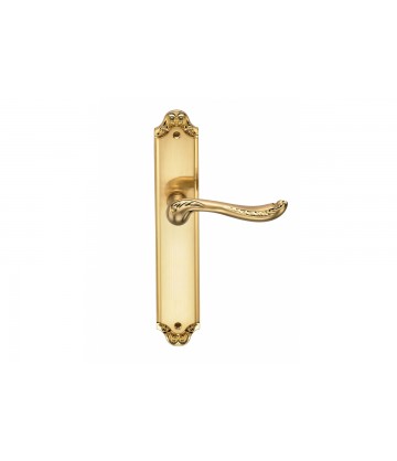 Ручка дверная на длинной планке ARCHIE GENESIS ACANTO S. GOLD PS матовое золото